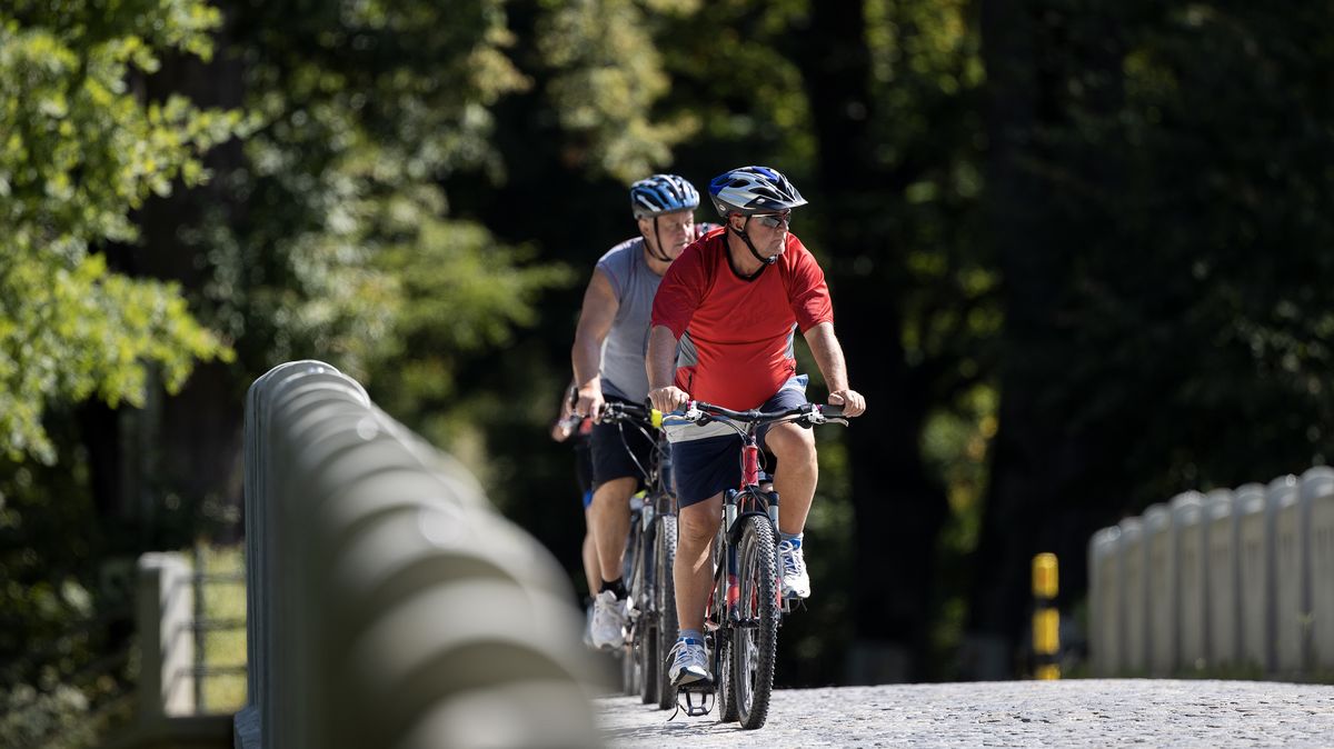 Přelomový rozsudek: Cyklista může na silnici, i když vedle vede cyklostezka